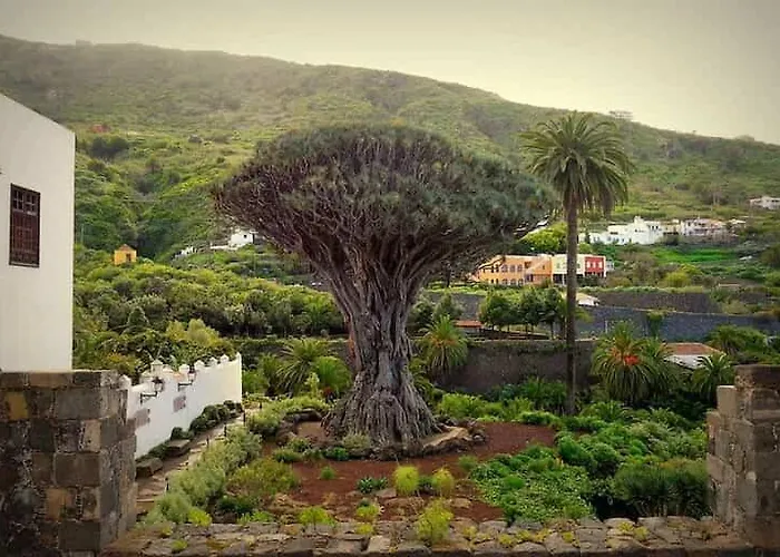 شقة La Vinita En Icod De Vinos إيكود ذي لوس فينوس