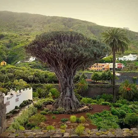 Appartement La Vinita En Icod De Vinos Icod De Los Vinos